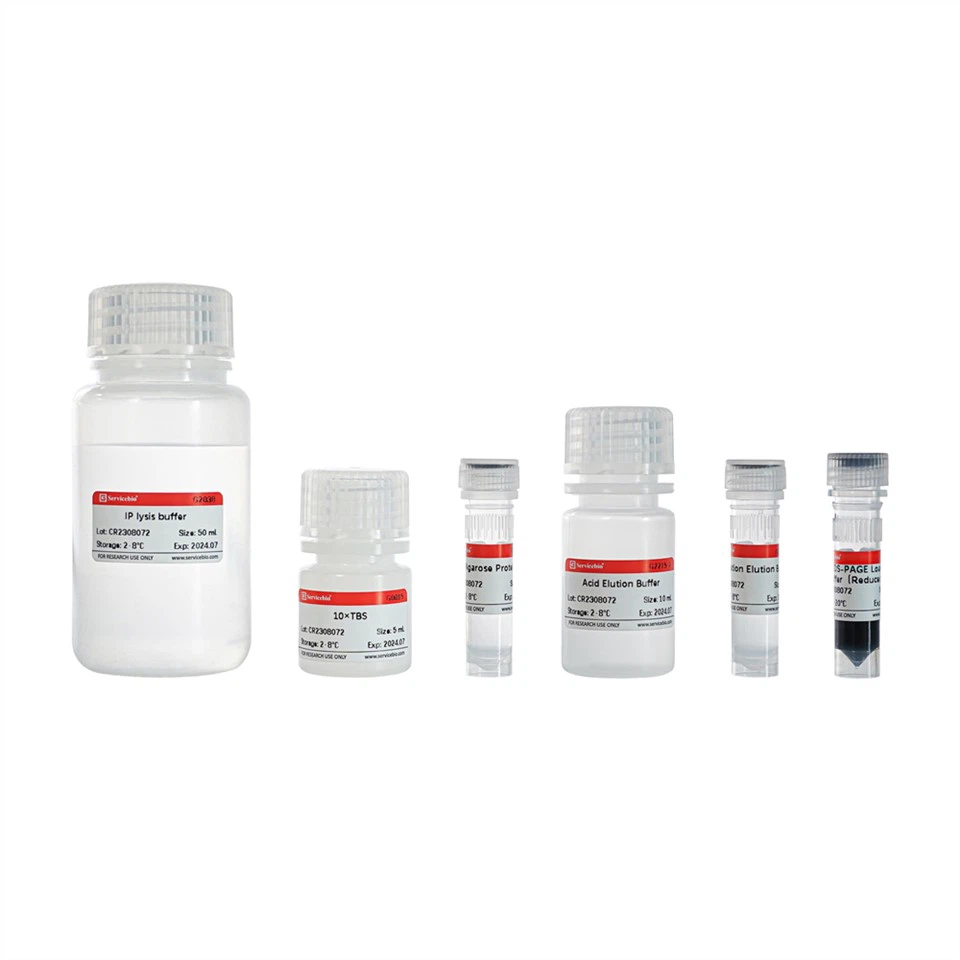 Immunoprecipitation Kit (Protein A Agarose)
