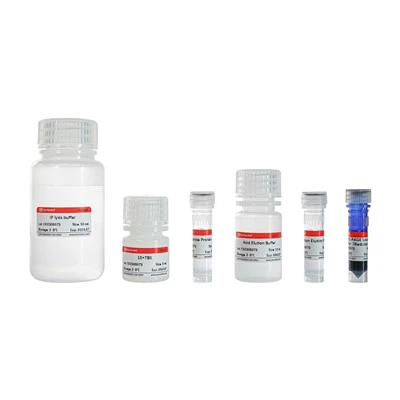 면역침전 키트(단백질 G 아가로스)